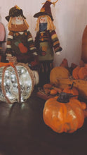 Load and play video in Gallery viewer, Fall twinkle pumpkins

