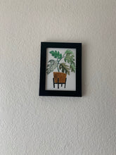Load image into Gallery viewer, Monstera Plant
