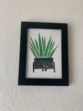 Load image into Gallery viewer, Snake Plant
