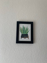Load image into Gallery viewer, Snake Plant
