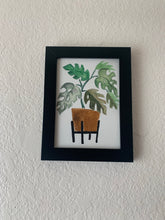 Load image into Gallery viewer, Monstera Plant
